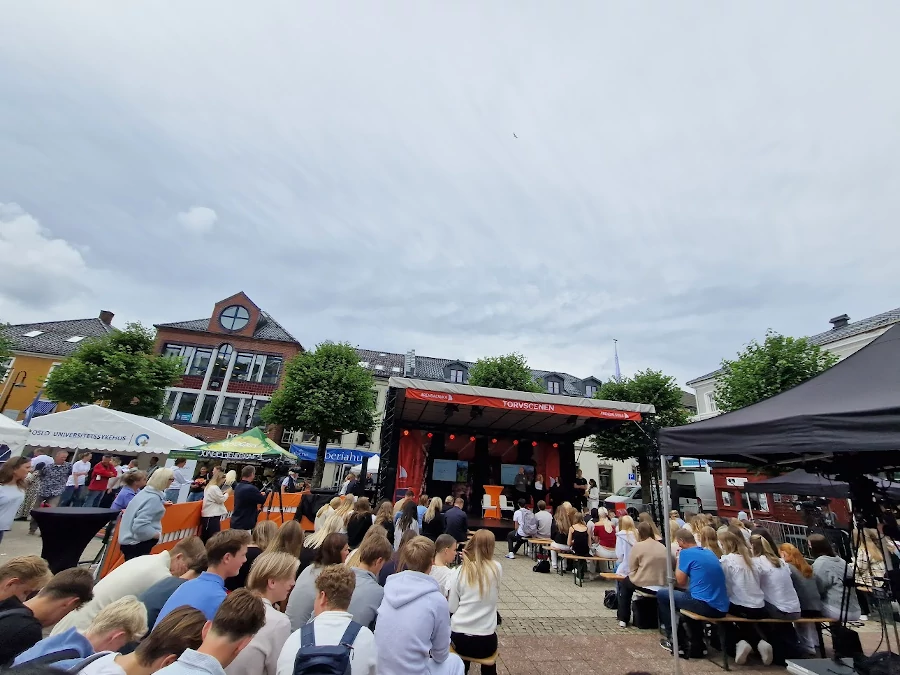 Lie detector på Arendalsuka